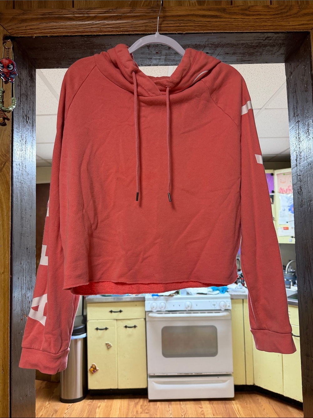 Aeropostale Coral Pullover Hoodie with Sleeve Graphics